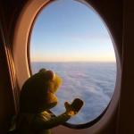 Kermit on Plane