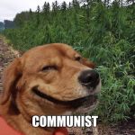 Weed doggo | WHEN YOU SEE A; COMMUNIST | image tagged in weed doggo | made w/ Imgflip meme maker
