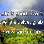 rainbow love | Life is short, live it. Love is elusive, grab it. Hate is bad, dump it. | image tagged in rainbow love | made w/ Imgflip meme maker