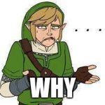 Link | WHY | image tagged in link | made w/ Imgflip meme maker