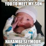Meet Harambe Johnson. | I'D LIKE FOR YOU TO MEET MY SON; HARAMBE SEYMOUR JOHNSON. | image tagged in newborn,harambe,rip harambe,unique names | made w/ Imgflip meme maker