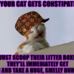 FARTSY CAT | IF YOUR CAT GETS CONSTIPATED; JUST SCOOP THEIR LITTER BOX! THEY'LL IMMEDIATELY GET IN AND TAKE A HUGE, SMELLY DUMP! | image tagged in fartsy cat,scumbag | made w/ Imgflip meme maker