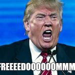 Trump Scream | FREEEEDOOOOOOMMM! | image tagged in trump scream | made w/ Imgflip meme maker