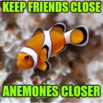 Ocellaris clownfish Nemo | KEEP FRIENDS CLOSE; ANEMONES CLOSER | image tagged in ocellaris clownfish nemo | made w/ Imgflip meme maker