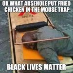 budget cuts | OK WHAT ARSEHOLE PUT FRIED CHICKEN IN THE MOUSE TRAP; BLACK LIVES MATTER | image tagged in budget cuts | made w/ Imgflip meme maker