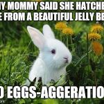 Jelly Bean | MY MOMMY SAID SHE HATCHED ME FROM A BEAUTIFUL JELLY BEAN; NO EGGS-AGGERATION! | image tagged in jelly bean,easter bunny,cute | made w/ Imgflip meme maker