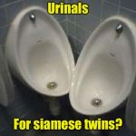 You had one job . . . | Urinals; For siamese twins? | image tagged in dumb urinals,you had one job,twins | made w/ Imgflip meme maker