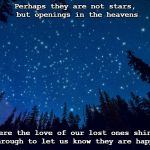 Sky and Stars | Perhaps they are not stars, but openings in the heavens; where the love of our lost ones shines through to let us know they are happy | image tagged in sky and stars | made w/ Imgflip meme maker