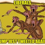 Angry & Stupid | LIBERALS TRUMP JUST TWEETED AGAIN!!! | image tagged in angry  stupid | made w/ Imgflip meme maker
