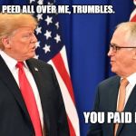 2 Arseholes | YOU PEED ALL OVER ME, TRUMBLES. YOU PAID ME. | image tagged in 2 arseholes | made w/ Imgflip meme maker