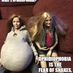 Olivia Michelle, Chelsea Renee | CHELSEA, WHAT'S OPHIDIOPHOBIA? OPHIDIOPHOBIA IS THE FEAR OF SNAKES, OLIVIA. THANKS. | image tagged in olivia michelle chelsea renee | made w/ Imgflip meme maker