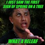 Happy Easter everyone! | I JUST SAW THE FIRST SIGN OF SPRING ON A TREE; WHAT A RELEAF | image tagged in bad pun,spring,tree | made w/ Imgflip meme maker