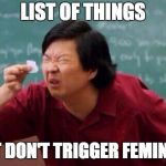 Small List | LIST OF THINGS; THAT DON'T TRIGGER FEMINISTS | image tagged in small list | made w/ Imgflip meme maker