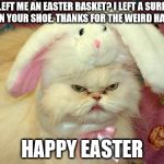 easter cat | YOU LEFT ME AN EASTER BASKET? I LEFT A SURPRISE IN YOUR SHOE. THANKS FOR THE WEIRD HAT. HAPPY EASTER | image tagged in easter cat | made w/ Imgflip meme maker