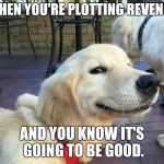 good boy dog | WHEN YOU'RE PLOTTING REVENGE; AND YOU KNOW IT'S GOING TO BE GOOD. | image tagged in good boy dog | made w/ Imgflip meme maker