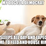 sleeping dog | MY DOG IS A DEMOCRAT; HE SLEEPS ALL DAY AND EXPECTS ME TO FEED AND HOUSE HIM | image tagged in sleeping dog | made w/ Imgflip meme maker