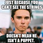 The Muppet's Puppet | JUST BECAUSE YOU CAN'T SEE THE STRINGS; DOESN'T MEAN HE ISN'T A PUPPET. | image tagged in david hogg | made w/ Imgflip meme maker