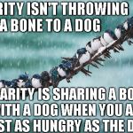 One day at a time | CHARITY ISN'T THROWING A BONE TO A DOG; CHARITY IS SHARING A BONE WITH A DOG WHEN YOU ARE JUST AS HUNGRY AS THE DOG | image tagged in one day at a time | made w/ Imgflip meme maker