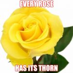 Yellow Rose of Friendship | EVERY ROSE; HAS ITS THORN | image tagged in yellow rose of friendship | made w/ Imgflip meme maker