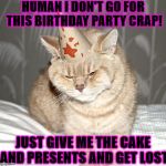BIRTHDAY CAT | HUMAN I DON'T GO FOR THIS BIRTHDAY PARTY CRAP! JUST GIVE ME THE CAKE AND PRESENTS AND GET LOST | image tagged in birthday cat | made w/ Imgflip meme maker