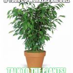 Weinstein's potted plant | IF YOUR CO-WORKERS ARE DULL; TALK TO THE PLANTS! | image tagged in weinstein's potted plant | made w/ Imgflip meme maker