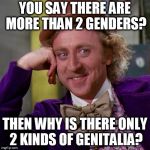 Well? | YOU SAY THERE ARE MORE THAN 2 GENDERS? THEN WHY IS THERE ONLY 2 KINDS OF GENITALIA? | image tagged in creepy condescending wonka large,gender | made w/ Imgflip meme maker