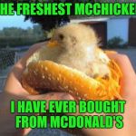 Chicken Week, April 2-8, a JBmemegeek & giveuahint event | THE FRESHEST MCCHICKEN; I HAVE EVER BOUGHT FROM MCDONALD'S | image tagged in chicken week,jbmemegeek,giveuahint,theme week | made w/ Imgflip meme maker