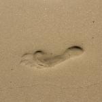 Footprint in sand meme