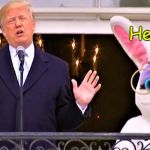 Help Me! | Help me! | image tagged in trump  bunny,captive easter bunny | made w/ Imgflip meme maker