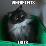 Cat in laundry basket | WHERE I FITS; I SITS | image tagged in cat in laundry basket | made w/ Imgflip meme maker