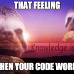 Sloth Knowledge is power | THAT FEELING; WHEN YOUR CODE WORKS | image tagged in sloth knowledge is power | made w/ Imgflip meme maker