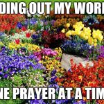 Flower garden  | WEEDING OUT MY WORRIES; ONE PRAYER AT A TIME! | image tagged in flower garden | made w/ Imgflip meme maker