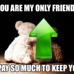 Bear hugs | YOU ARE MY ONLY FRIEND; I PAY SO MUCH TO KEEP YOU | image tagged in bear hugs | made w/ Imgflip meme maker