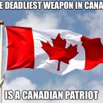 canadian flag | THE DEADLIEST WEAPON IN CANADA; IS A CANADIAN PATRIOT | image tagged in canadian flag | made w/ Imgflip meme maker