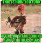 A Chicken week meme event | THIS IS HOW YOU LOOK; AFTER YOU START PECKING AWAY AT OTHERS MEMS | image tagged in mangled chicken,reposts,original meme,bad memes,political meme,gun control | made w/ Imgflip meme maker