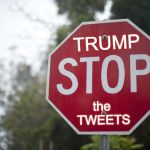 TRUMP - stop the tweets | TRUMP; the TWEETS | image tagged in stop-sign,stop the tweets,twitter,trump tweets,never trump,trump twitter | made w/ Imgflip meme maker