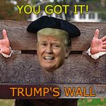 Trump's Wall | YOU GOT IT! TRUMP'S WALL | image tagged in trump in stocks,trump wall,trump fail,donald trump is an idiot,trump trademark,trump | made w/ Imgflip meme maker