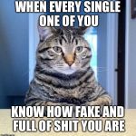 Serious cat | WHEN EVERY SINGLE ONE OF YOU; KNOW HOW FAKE AND FULL OF SHIT YOU ARE | image tagged in serious cat | made w/ Imgflip meme maker