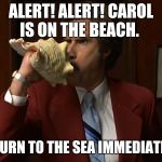 Ron Burgundy conch | ALERT! ALERT! CAROL IS ON THE BEACH. RETURN TO THE SEA IMMEDIATELY! | image tagged in ron burgundy conch | made w/ Imgflip meme maker