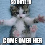 I love you this much  | SO CUTE !!! COME OVER HER | image tagged in i love you this much | made w/ Imgflip meme maker