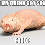 Naked mole rat | HI MY FRIEND GOT SOME; FOOD? | image tagged in naked mole rat | made w/ Imgflip meme maker