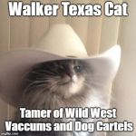 The Legend of the Longhorn State | Walker Texas Cat; Tamer of Wild West Vaccums and Dog Cartels | image tagged in cat cowboy hat,walker texas ranger,texas,cat,cowboy,west | made w/ Imgflip meme maker