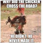 Mangled Chicken - Chicken Week! | WHY DID THE CHICKEN CROSS THE ROAD? HE DIDN'T. HE NEVER MADE IT. | image tagged in mangled chicken,chicken week,why did the chicken cross the road,clean,jokes,owch | made w/ Imgflip meme maker