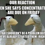 This is the reaction on Thursday night by the way | OUR REACTION; WHEN SHE SAYS CONCENTRATIONS ARE DUE ON FRIDAY; BUT THAT SHOULDN'T BE A PROBLEM BECAUSE WE'VE ALREADY STARTED THEM , RIGHT? | image tagged in worried chickens,art,school,procrastination | made w/ Imgflip meme maker