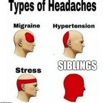 Types of Headaches meme | SIBLINGS | image tagged in types of headaches meme | made w/ Imgflip meme maker