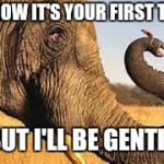 mouse & elephant | I KNOW IT'S YOUR FIRST TIME; BUT I'LL BE GENTLE | image tagged in mouse  elephant | made w/ Imgflip meme maker