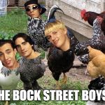 Chicken week! April 2-8! 
The Bock Street Boys. Where are they now? Back in the barnyard!  | THE BOCK STREET BOYS. | image tagged in the bock street boys,chicken week,where are they now | made w/ Imgflip meme maker
