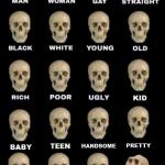 idiot skull extended meme