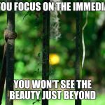 Focus on the fence | IF YOU FOCUS ON THE IMMEDIATE; YOU WON'T SEE THE BEAUTY JUST BEYOND | image tagged in focus on the fence | made w/ Imgflip meme maker