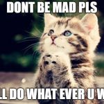 Cute Kitty | DONT BE MAD PLS; I WILL DO WHAT EVER U WANT | image tagged in cute kitty | made w/ Imgflip meme maker